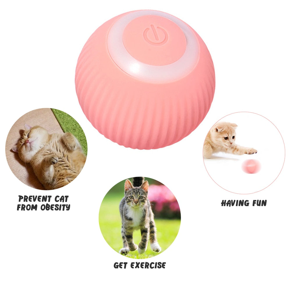 Smart Pet Play Sphere