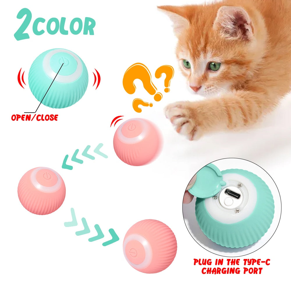 Smart Pet Play Sphere